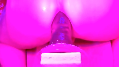 Shyla is fucked in her ass memed sexed